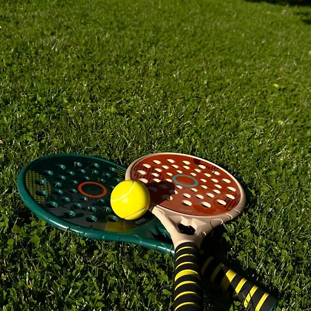 Puhkemaja Metsa Sees *