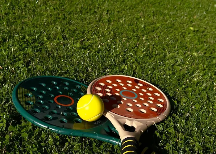 Puhkemaja Metsa Sees *